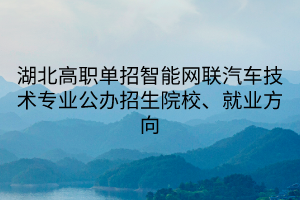 湖北高職單招智能網(wǎng)聯(lián)汽車技術(shù)專業(yè)公辦招生院校、就業(yè)方向