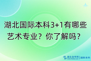 湖北國際本科3+1有哪些藝術(shù)專業(yè)？你了解嗎？