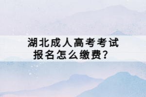 湖北成人高考考試報(bào)名怎么繳費(fèi)？