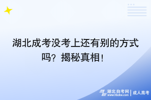 湖北成考沒考上還有別的方式嗎？揭秘真相！