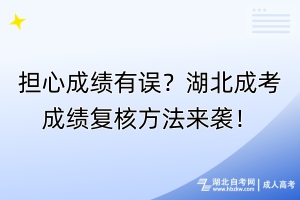 擔(dān)心成績有誤？湖北成考成績復(fù)核方法來襲！