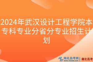 2024年武漢設計工程學院本?？茖I(yè)分省分專業(yè)招生計劃