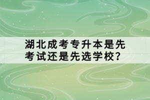 湖北成考專升本是先考試還是先選學校？