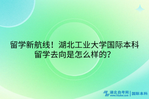 留學(xué)新航線！湖北工業(yè)大學(xué)國際本科留學(xué)去向是怎么樣的？