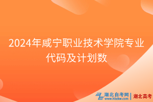 2024年咸寧職業(yè)技術(shù)學(xué)院專業(yè)代碼及計劃數(shù)
