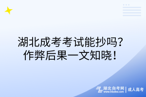 湖北成考考試能抄嗎？作弊后果一文知曉！