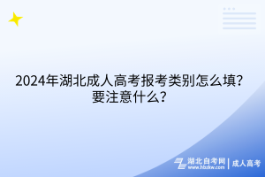 2024年湖北成人高考報考類別怎么填？要注意什么？
