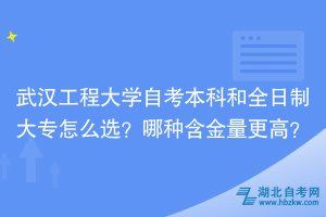 武漢工程大學(xué)自考本科和全日制大專怎么選？哪種含金量更高？