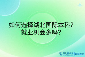 如何選擇湖北國際本科？就業(yè)機會多嗎？