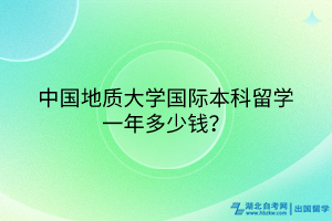 中國地質(zhì)大學(xué)國際本科留學(xué)一年多少錢？
