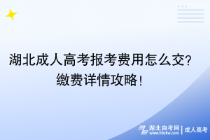 湖北成人高考報(bào)考費(fèi)用怎么交？繳費(fèi)詳情攻略！