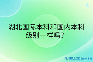 湖北國際本科和國內(nèi)本科級別一樣嗎？