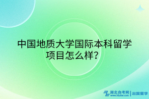 中國地質(zhì)大學(xué)國際本科留學(xué)項目怎么樣？