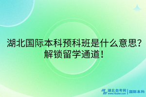 湖北國(guó)際本科預(yù)科班是什么意思？解鎖留學(xué)通道！