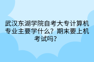 武漢東湖學(xué)院自考大專計(jì)算機(jī)專業(yè)主要學(xué)什么？期末要上機(jī)考試嗎？