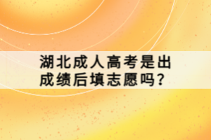 湖北成人高考是出成績后填志愿嗎？
