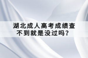 湖北成人高考成績查不到就是沒過嗎？