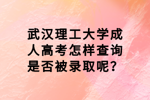 武漢理工大學(xué)成人高考怎樣查詢是否被錄取呢？