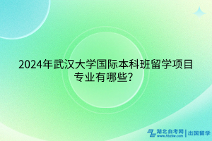 2024年武漢大學(xué)國際本科班留學(xué)項(xiàng)目專業(yè)有哪些？