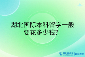 湖北國際本科一般要花多少錢？