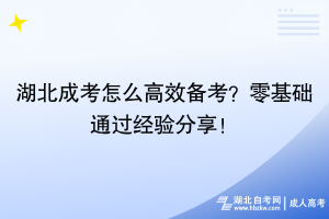 湖北成考怎么高效備考？零基礎(chǔ)通過經(jīng)驗分享！