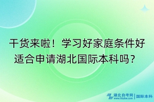 干貨來啦！學習好家庭條件好適合申請湖北國際本科嗎？