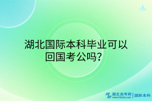 湖北國際本科畢業(yè)可以回國考公嗎？