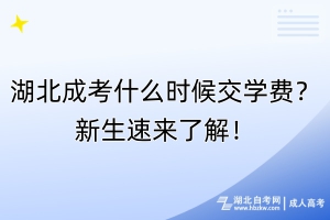 湖北成考什么時候交學費？新生速來了解！