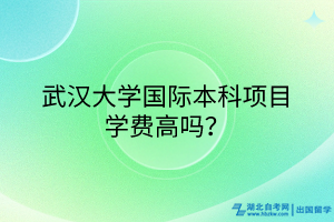 武漢大學(xué)國際本科項目學(xué)費高嗎？