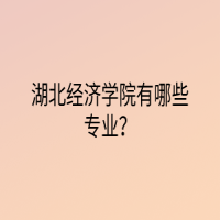 湖北經(jīng)濟(jì)學(xué)院有哪些專業(yè)？