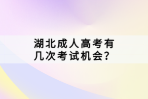 湖北成人高考有幾次考試機(jī)會？