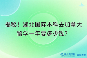 揭秘！湖北國際本科去加拿大留學一年要多少錢？