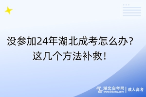 沒參加24年湖北成考怎么辦？這幾個方法補救！