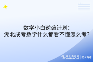 數(shù)學(xué)小白逆襲計劃：湖北成考數(shù)學(xué)什么都看不懂怎么考？