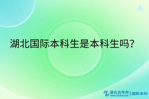 湖北國際本科生是本科生嗎？