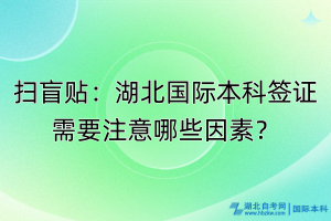 掃盲貼：湖北國際本科簽證需要注意哪些因素？