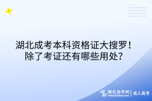 湖北成考本科資格證大搜羅！除了考證還有哪些用處？