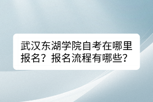 武漢東湖學(xué)院自考在哪里報(bào)名？報(bào)名流程有哪些？