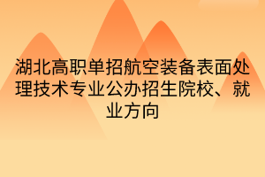 湖北高職單招航空裝備表面處理技術(shù)專業(yè)公辦招生院校、就業(yè)方向