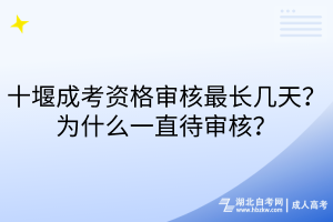 十堰成考資格審核最長幾天？為什么一直待審核？