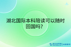 湖北國際本科陪讀可以隨時回國嗎？