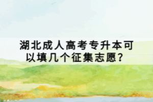 湖北成人高考專升本可以填幾個征集志愿？