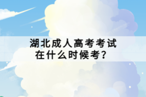 湖北成人高考考試在什么時候考？