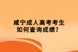 咸寧成人高考考生如何查詢成績？