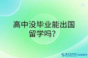 高中沒畢業(yè)能出國留學(xué)嗎？