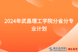 2024年武昌理工學(xué)院分省分專業(yè)計劃