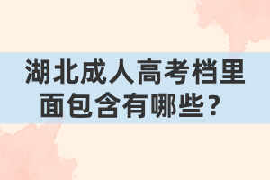 湖北成人高考檔里面包含有哪些？