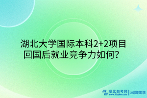 湖北大學(xué)國(guó)際本科2+2項(xiàng)目回國(guó)后就業(yè)競(jìng)爭(zhēng)力如何？
