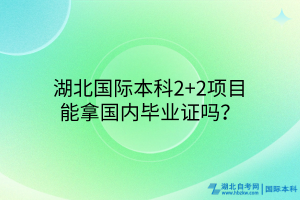 湖北國際本科2+2項目能拿國內(nèi)畢業(yè)證嗎？