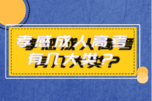 孝感成人高考有幾大類？